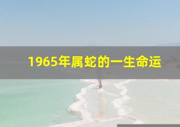 1965年属蛇的一生命运