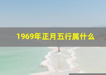 1969年正月五行属什么