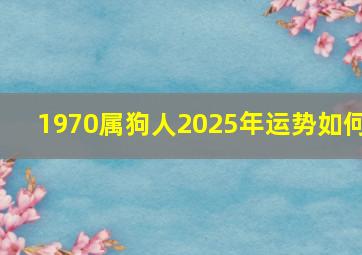 1970属狗人2025年运势如何