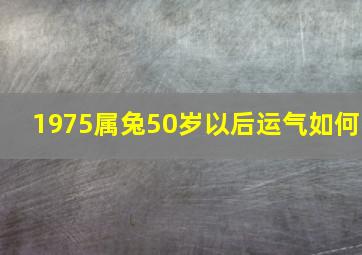 1975属兔50岁以后运气如何