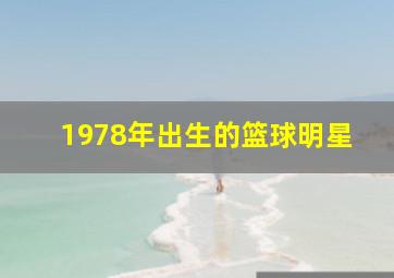 1978年出生的篮球明星