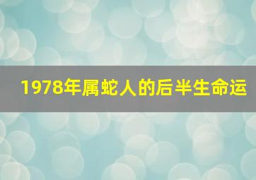 1978年属蛇人的后半生命运