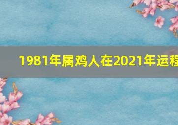 1981年属鸡人在2021年运程