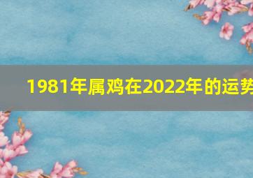 1981年属鸡在2022年的运势