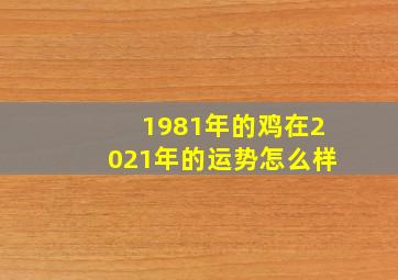 1981年的鸡在2021年的运势怎么样