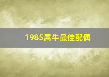 1985属牛最佳配偶