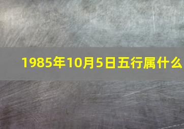 1985年10月5日五行属什么