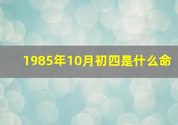 1985年10月初四是什么命