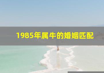 1985年属牛的婚姻匹配