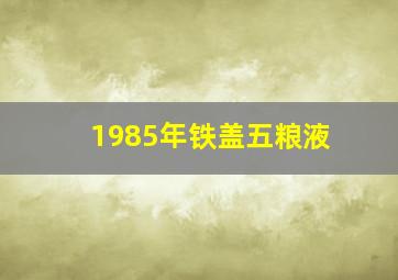 1985年铁盖五粮液