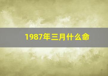 1987年三月什么命