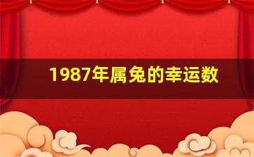 1987年属兔的幸运数