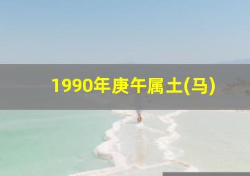 1990年庚午属土(马)