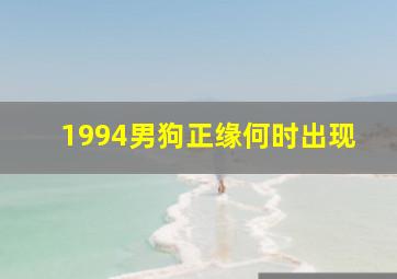 1994男狗正缘何时出现