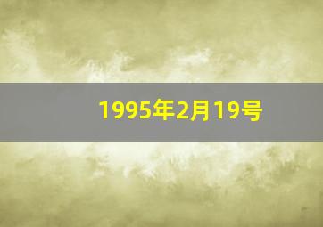 1995年2月19号