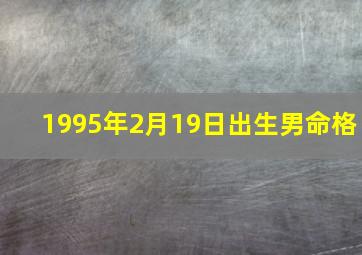 1995年2月19日出生男命格