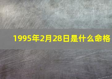 1995年2月28日是什么命格