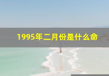 1995年二月份是什么命