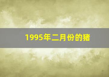 1995年二月份的猪