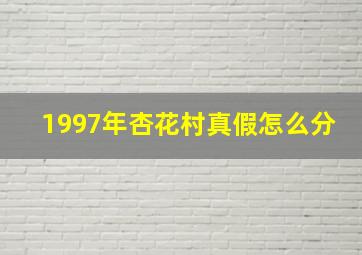 1997年杏花村真假怎么分