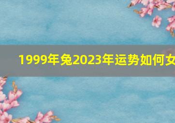 1999年兔2023年运势如何女