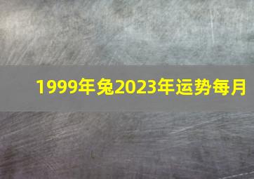 1999年兔2023年运势每月