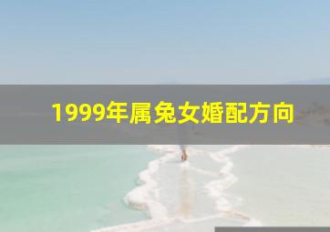 1999年属兔女婚配方向