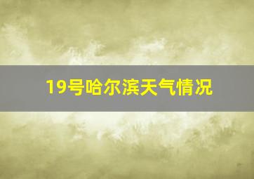 19号哈尔滨天气情况