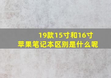 19款15寸和16寸苹果笔记本区别是什么呢