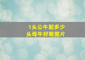 1头公牛配多少头母牛好呢图片