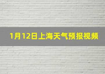 1月12日上海天气预报视频