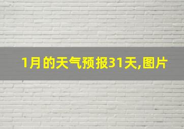 1月的天气预报31天,图片