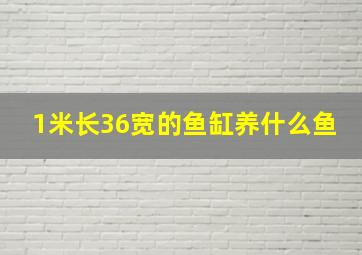 1米长36宽的鱼缸养什么鱼