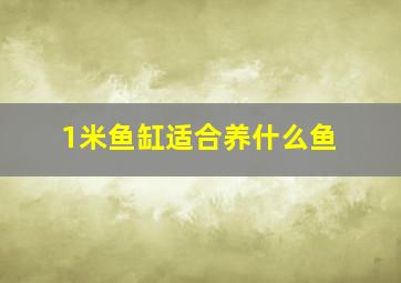 1米鱼缸适合养什么鱼