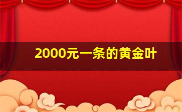 2000元一条的黄金叶