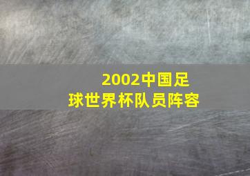 2002中国足球世界杯队员阵容