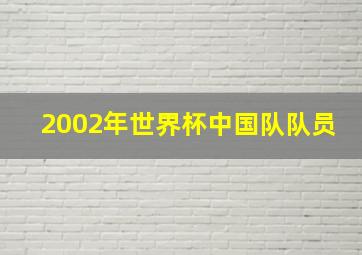 2002年世界杯中国队队员