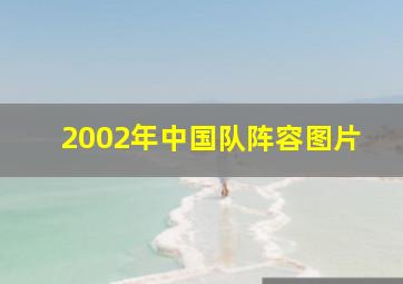 2002年中国队阵容图片