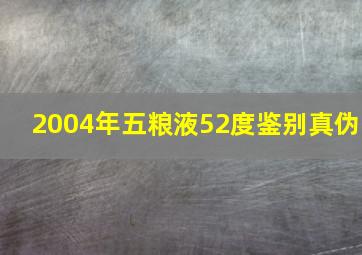 2004年五粮液52度鉴别真伪