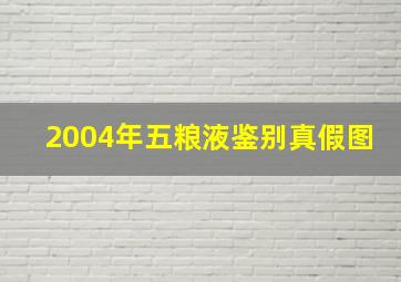 2004年五粮液鉴别真假图