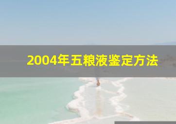 2004年五粮液鉴定方法