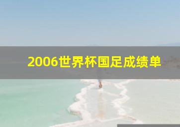 2006世界杯国足成绩单