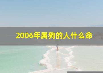 2006年属狗的人什么命