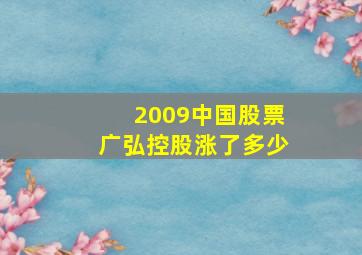 2009中国股票广弘控股涨了多少