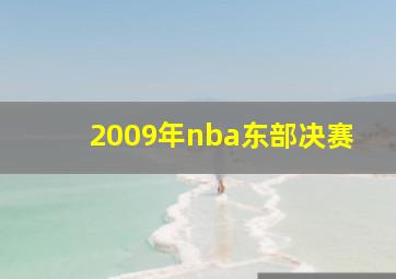 2009年nba东部决赛