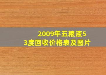 2009年五粮液53度回收价格表及图片