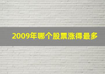 2009年哪个股票涨得最多