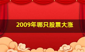 2009年哪只股票大涨