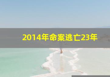 2014年命案逃亡23年