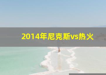 2014年尼克斯vs热火